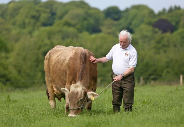 Clive Davies - Swiss Brown dairy farmer
