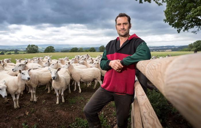 Frank Lloyd - sheep farmer